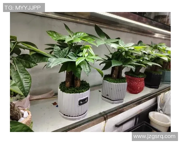 创意盆栽装饰:如何通过盆栽打造绿色生活空间与家居艺术气息 创意盆栽装饰:如何通过盆栽打造绿色生活空间与家居艺术气息