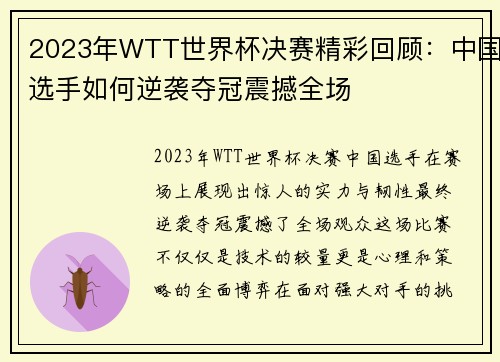 2023年WTT世界杯决赛精彩回顾：中国选手如何逆袭夺冠震撼全场