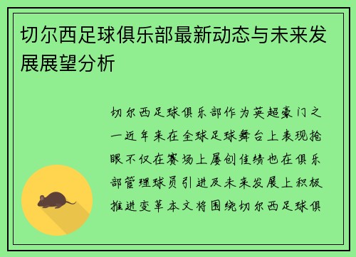 切尔西足球俱乐部最新动态与未来发展展望分析